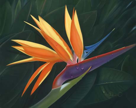 "Morning Bird of Paradise" by Dana Queen