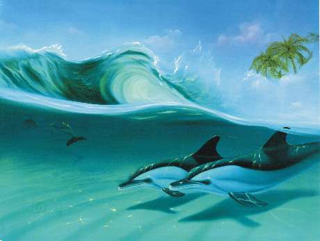 Surfing Dolphins