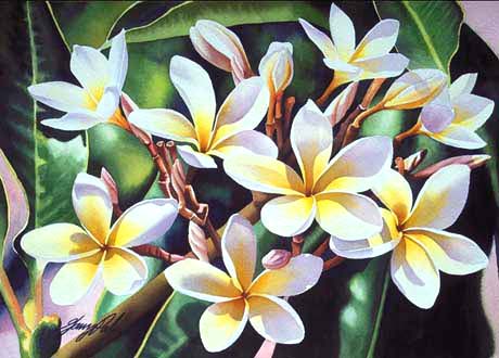 "Plumerias #12" by Garry Palm